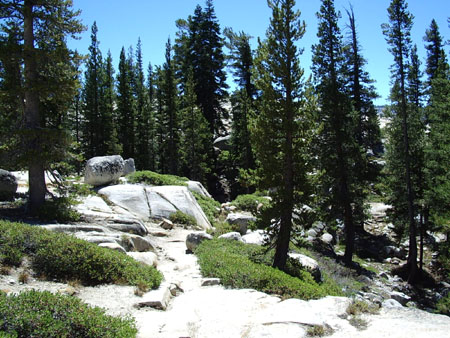 En route pour Olmsted Point En route pour Olmsted Point